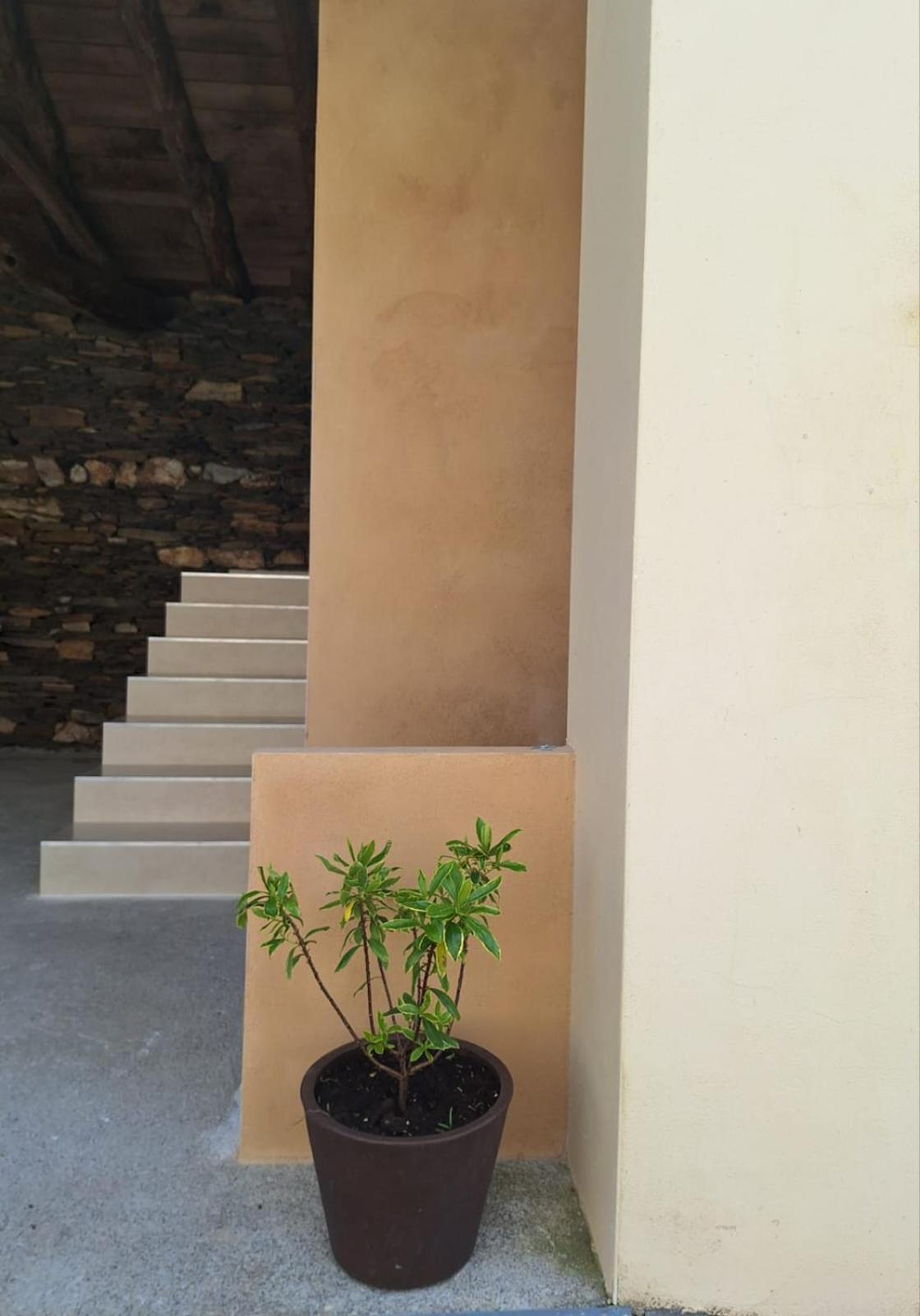 Casa Perdigueira Otel Castromayor Dış mekan fotoğraf